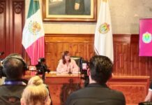 Anuncia Rocío Nahle nuevo sistema de transporte público para Xalapa; iniciará con 60 autobuses