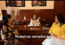 Rocío Nahle anuncia relevo en la Secretaría de Educación de Veracruz; Claudia Tello regresa al Senado y Raquel Torres asume la SEV