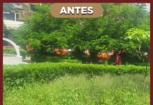 Coordinan labores de limpieza e iluminación en espacios públicos de Tantoyuca
