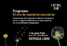 SECVER impulsa cine mexicano hecho por mujeres en el Ágora de la Ciudad