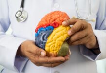 Informa IMSS Veracruz Norte importancia de mantener buenos hábitos para salud del cerebro