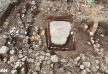 ¿Y el hallazgo de Coatepec? / Yamiri Rodríguez Madrid