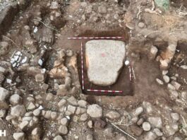 ¿Y el hallazgo de Coatepec? / Yamiri Rodríguez Madrid