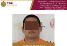 Prisión preventiva contra presunto agresor de canino en Veracruz