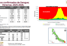 Focos rojos por dengue en Las Choapas, Poza Rica, Acula y Castillo de Teayo