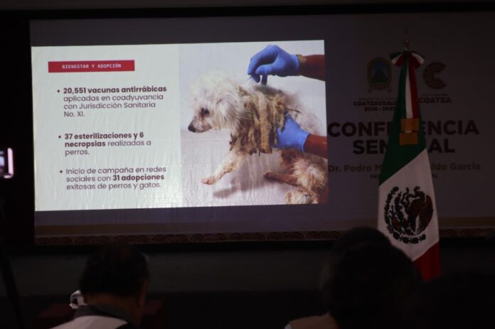 informe