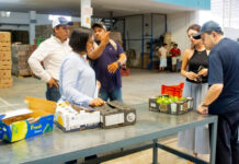 Sembradoras y sembradores de Papantla logran primera exportación de limón persa a Rusia