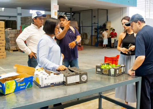 Sembradoras y sembradores de Papantla logran primera exportación de limón persa a Rusia