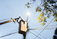 Instalarán mil luminarias led en Coatepec; cerca de 4 mil están fundidas