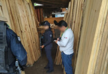 Profepa clausura maderería en Huatusco, por operar irregularmente