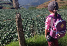 Ni DIF, ni STPS con niños trabajadores / Raymundo Jiménez
