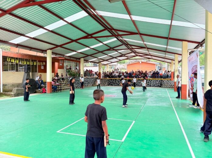 pelota