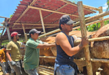 Impulsa Gobierno de Coatzacoalcos el mejoramiento del hato ganadero con capacitación y entrega de genética de alta calidad