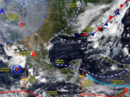 Onda Tropical 24 llegará al sur de Veracruz este miércoles: Conagua