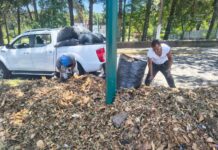 Ayuntamiento exhorta a reportar acumulación de basura y hojarasca para su atención oportuna