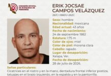 Exigen localización de Erik Jocsae en Xalapa; es hijo de una ambientalista