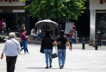 Por periodo canicular, Ayuntamiento de Xalapa emite recomendaciones preventivas