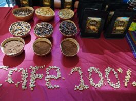 Foros Regionales de Café trazan una ruta para preservar la cultura cafetalera
