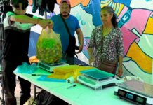 Productores de Tatatila rematan su cosechas en Xalapa por desplome de precios y falta de apoyos