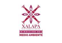 En Rincón de la Marquesa hubo retiro de árboles por representar riesgos; no es tala ilegal