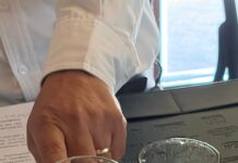 Ingreso de huevo estadounidense distorsiona el mercado y pone en riesgo a consumidores