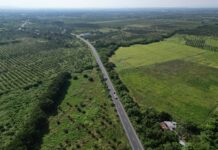 Rocío Nahle entrega 33 kilómetros completamente rehabilitados de la carretera Álamo–Tihuatlán