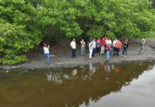 Altas temperaturas y déficit de precipitación, factores asociados a mortandad de peces en Vega de Alatorre