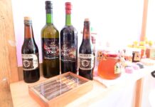 Festival del Mar acerca al público productos artesanales de las regiones de Veracruz