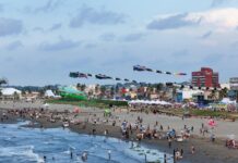Papalotes gigantes llenan de color el cielo de Coatzacoalcos en el Festival del Mar