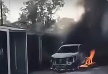 Mantienen operativo tras ataque armado e incendio de granja avícola en Álamo