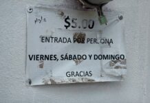 Denuncian descuido y riesgos en deportivo de Emiliano Zapata; exigen intervención municipal