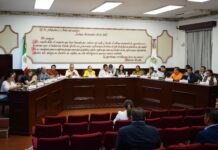 Cabildo impulsa reforma al reglamento de protección y bienestar animal