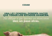 Denuncian que iniciativa de Ley General de Bienestar Animal se convirtió en un “manual para matar”