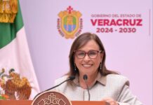 Reforestan mil 756 hectáreas en Veracruz durante Jornada Nacional de Reforestación