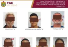 Siete detenidos tras cateo en la ciudad de Veracruz; ya fueron imputados