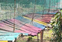 Denuncian deterioro en puente colgante del río Actopan; pobladores temen colapso