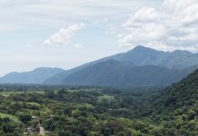 En un año, Sedema atendió más de 7 mil kilómetros del Área Natural Protegida Metlac-Río Blanco