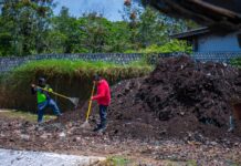 Procesa Centro Municipal de Compostaje 12 toneladas por día de residuos
