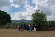“Ruta del Pulque» en Perote: recorrido de turismo rural desde Xalapa