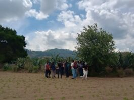 “Ruta del Pulque» en Perote: recorrido de turismo rural desde Xalapa