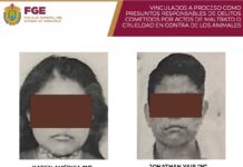 Vinculan a proceso a presuntos responsables de maltrato contra 4 perros en Coatzacoalcos