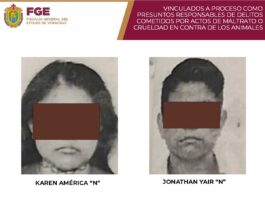 Vinculan a proceso a presuntos responsables de maltrato contra 4 perros en Coatzacoalcos