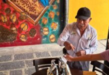 En riesgo cafeticultura veracruzana, podría desaparecer en cinco años: productores