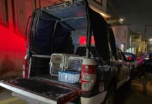 Rescatan a manada de perros víctimas de crueldad y presuntos rituales satánicos en Xalapa