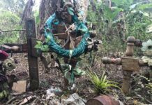 Persisten inhumaciones ilegales en zonas rurales de Veracruz: especialista