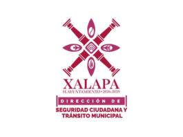 Mantendrán Ayuntamiento y Tránsito del Estado operativo permanente de vialidad en el Centro de Xalapa