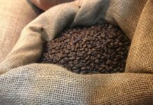 Productores enfrentan incertidumbre por volatilidad de precios; exigen aplicar la nueva Ley del Café