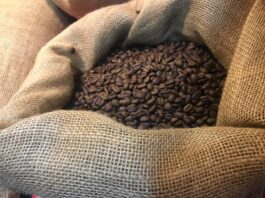 Productores enfrentan incertidumbre por volatilidad de precios; exigen aplicar la nueva Ley del Café