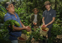 Personas indígenas y afromexicanas en Veracruz reciben apoyos de Producción para el Bienestar