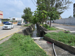 Anuncia Pedro Miguel Rosaldo inversión de 35 mdp para rehabilitar el canal de Jirafas en Coatzacoalcos